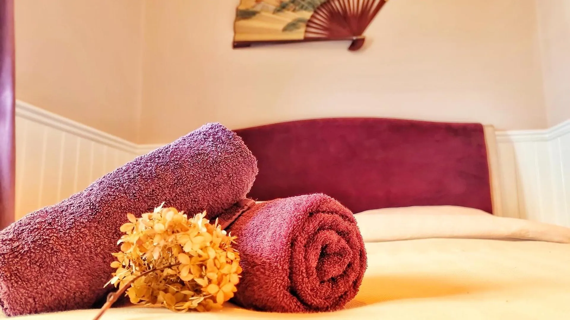 Champagne Cottage - New Forest National Park Bisterne Holiday home